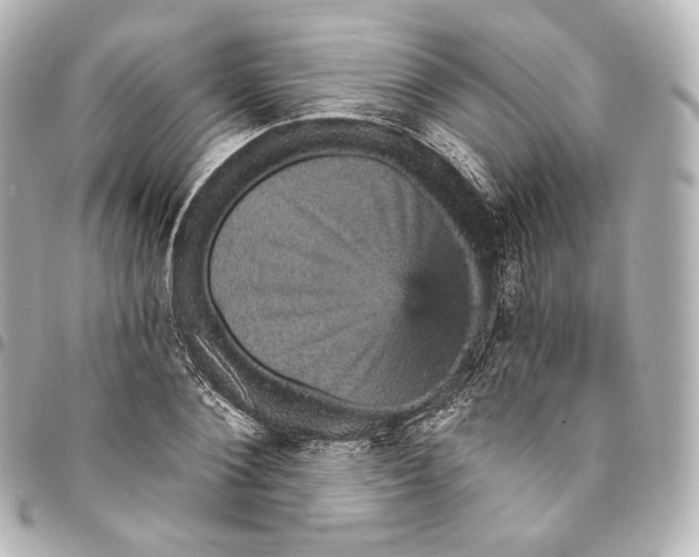 X0000095550884200712281604