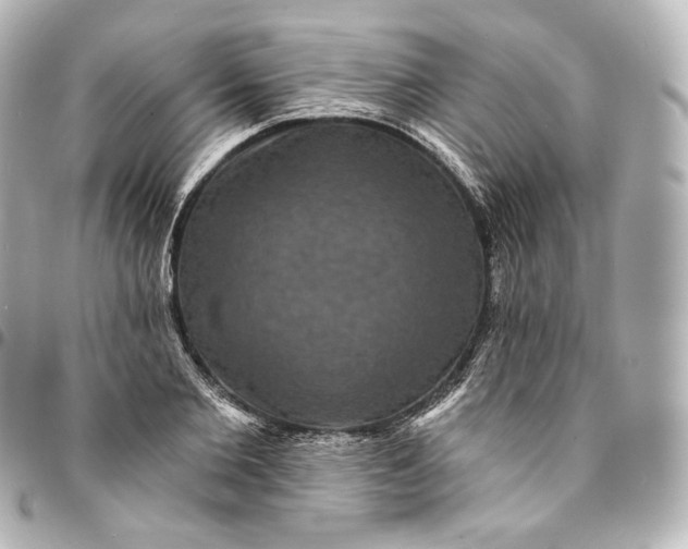 X0000095550885200712281604