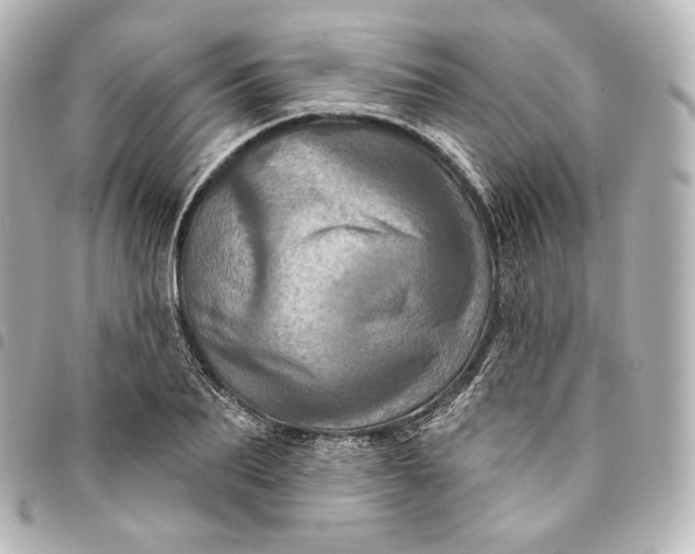 X0000095550887200712281604