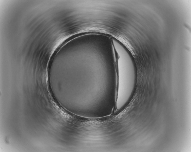 X0000095550888200712281604