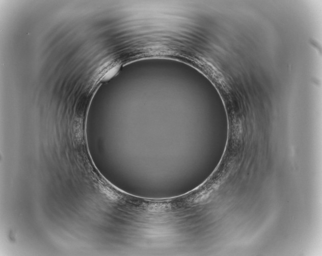 X0000095550889200712281604