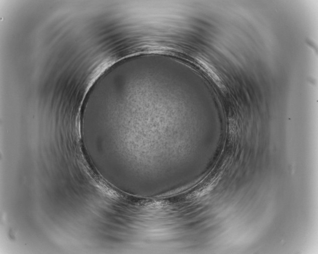 X0000095550891200712281604