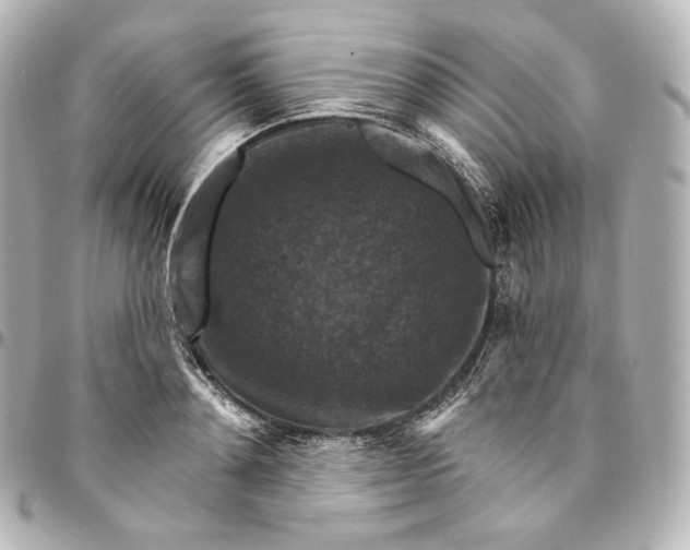 X0000095550892200712281603