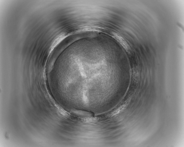 X0000095550893200712281603