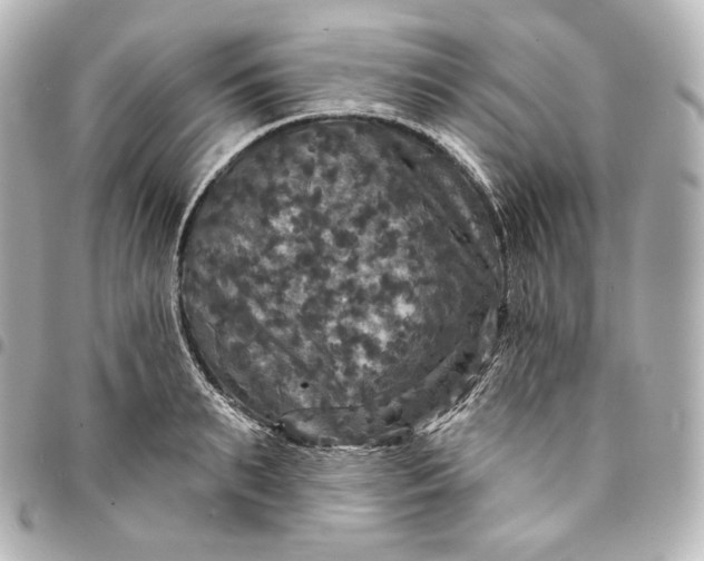 X0000095550895200712281603