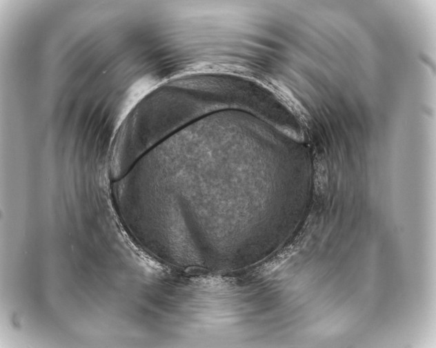 X0000095550896200712281603