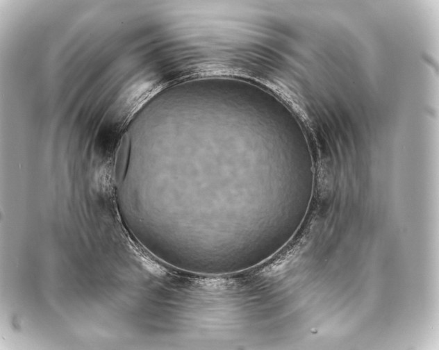 X0000095550897200712281603