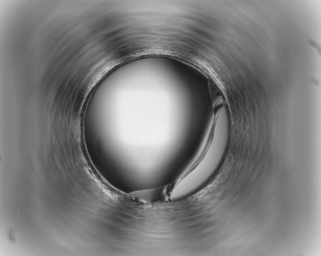 X0000095550898200712281603