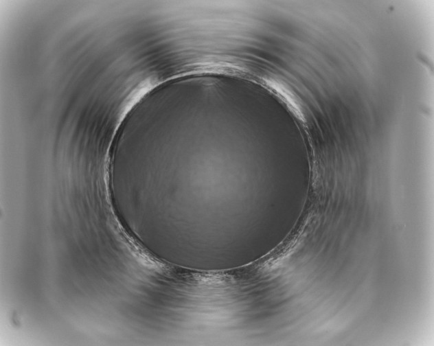 X0000095550899200712281603