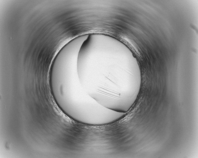 X0000095550900200712281603