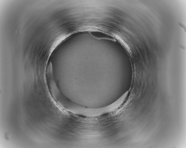 X0000095550901200712281603