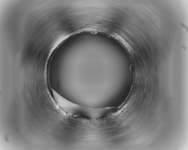 X0000095550902200712281603