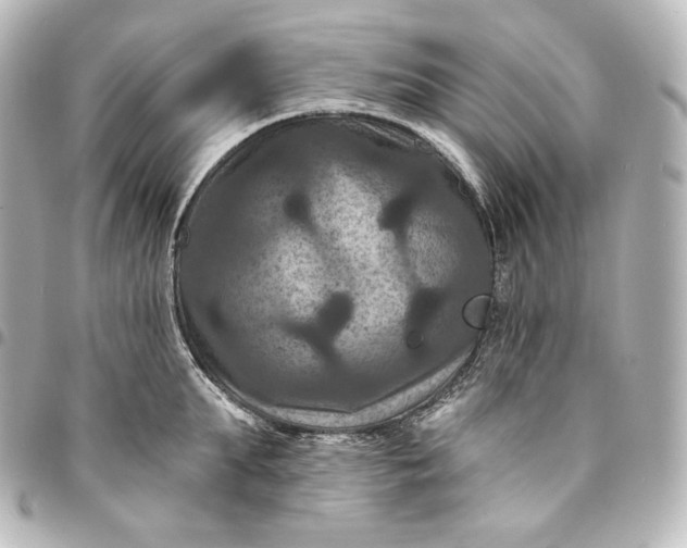 X0000095550903200712281603