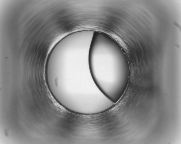 X0000095550904200712281603