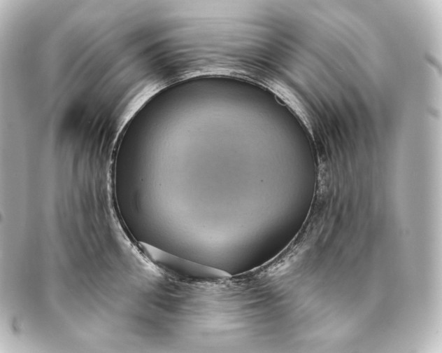 X0000095550906200712281603