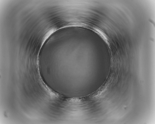 X0000095550907200712281603