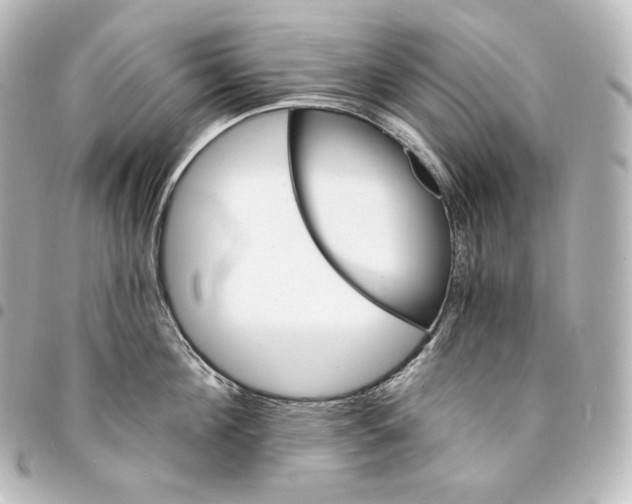 X0000095550908200712281603