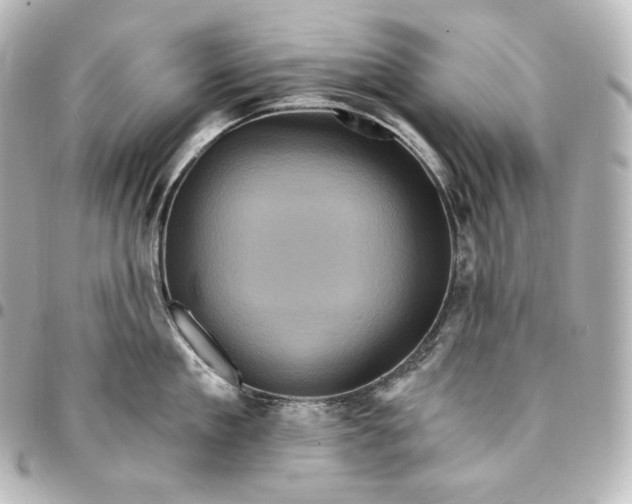 X0000095550909200712281603