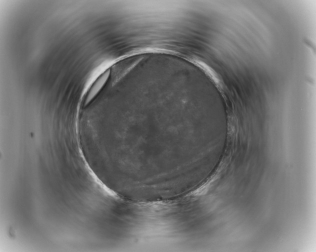 X0000095550910200712281603