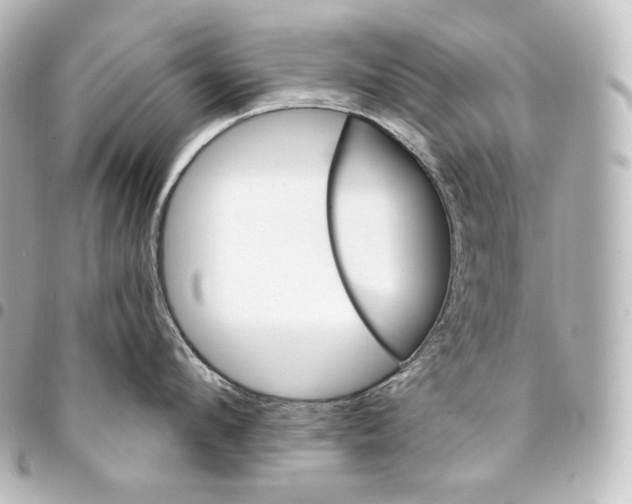 X0000095550912200712281603