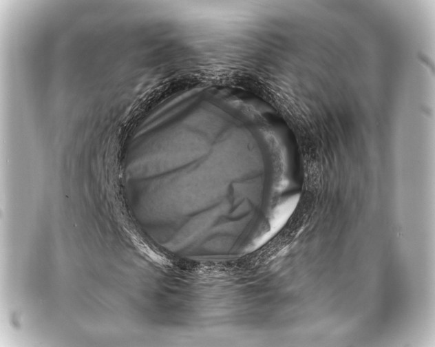 X0000095550913200712281603