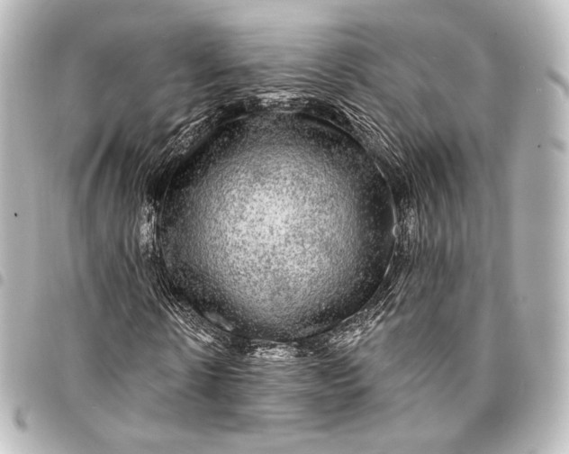 X0000095550914200712281603