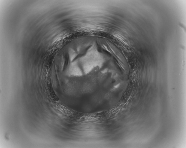 X0000095550917200712281603