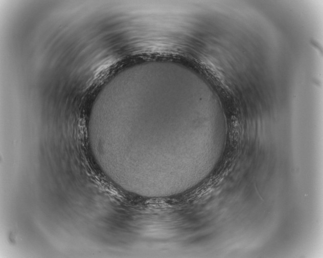 X0000095550918200712281603