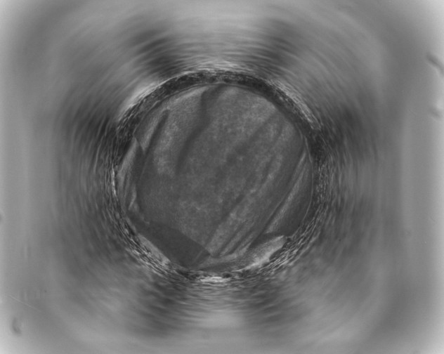 X0000095550919200712281603