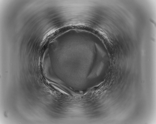 X0000095550920200712281603