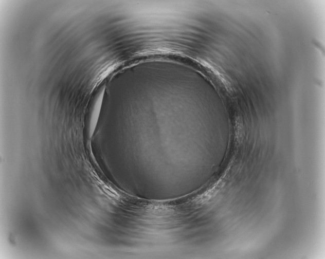 X0000095550921200712281603