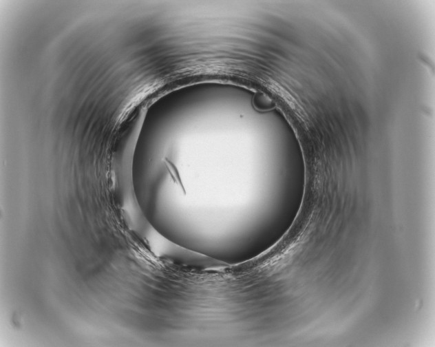 X0000095550922200712281603