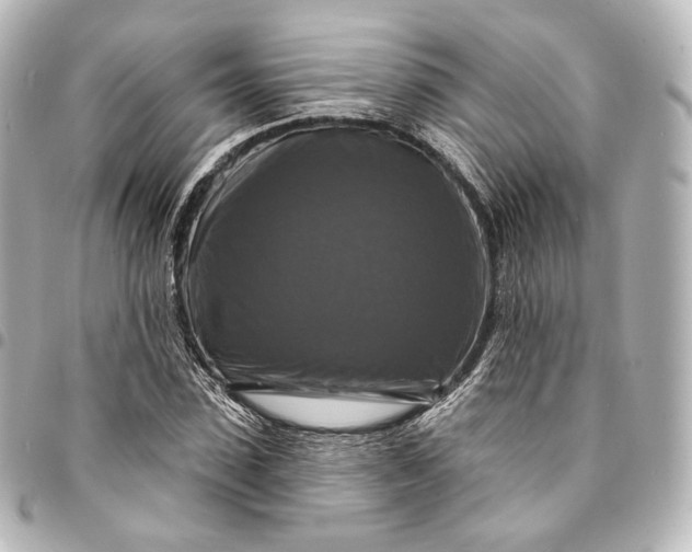 X0000095550923200712281603