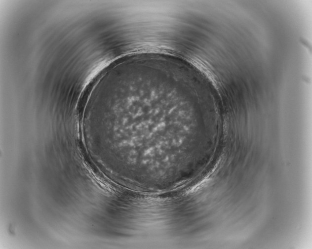 X0000095550925200712281603