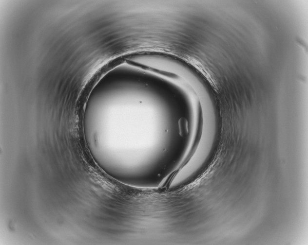 X0000095550926200712281603