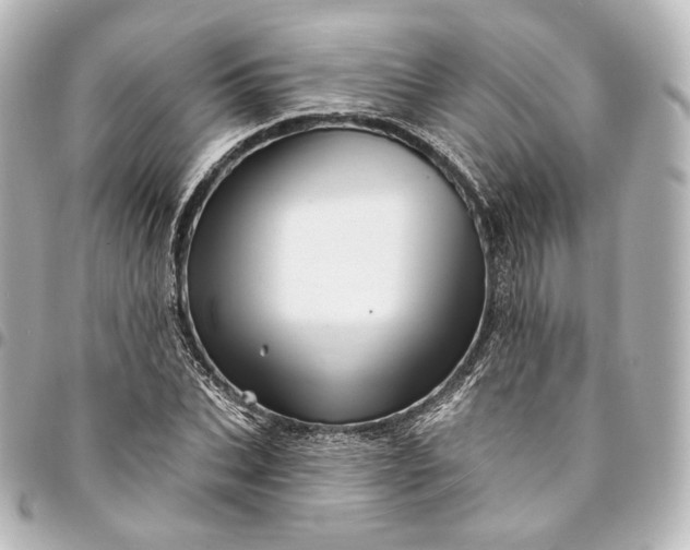 X0000095550927200712281603