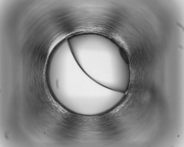 X0000095550928200712281603