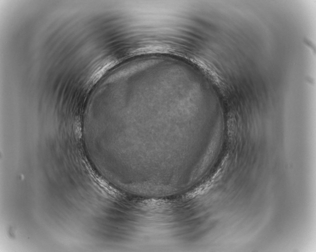 X0000095550929200712281603