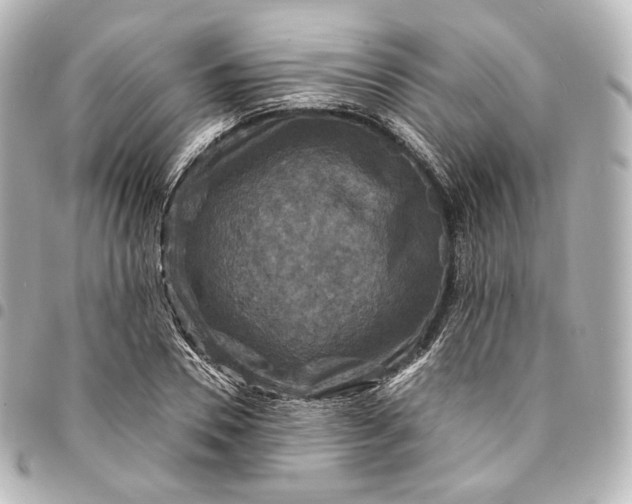 X0000095550930200712281603