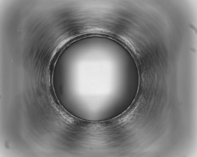 X0000095550931200712281603