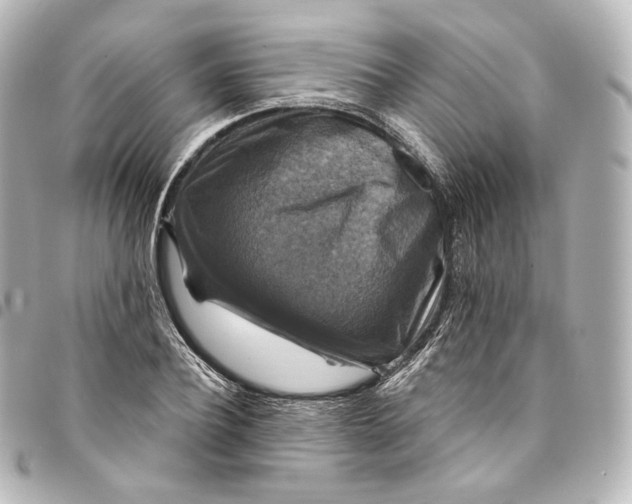 X0000095550932200712281603