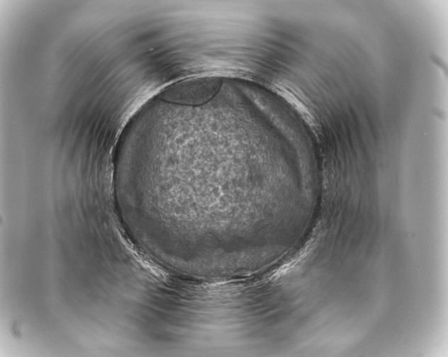 X0000095550933200712281603