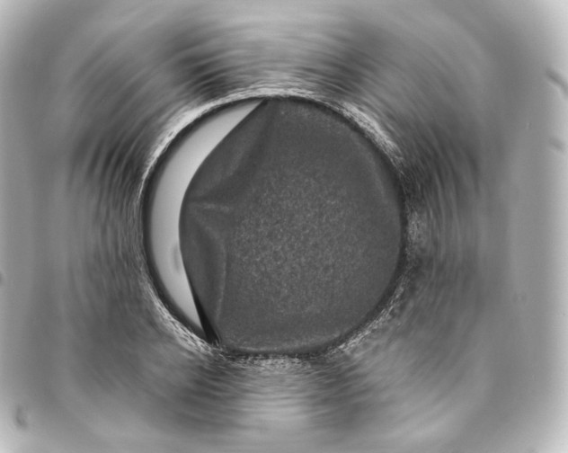 X0000095550934200712281603