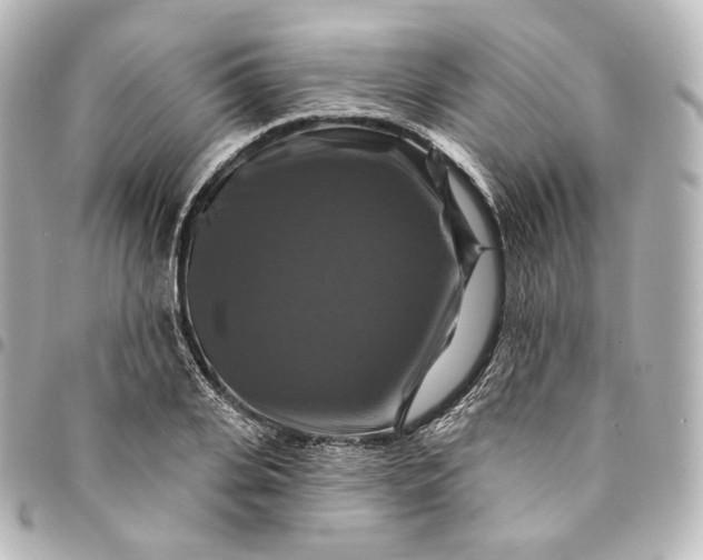 X0000095550935200712281603