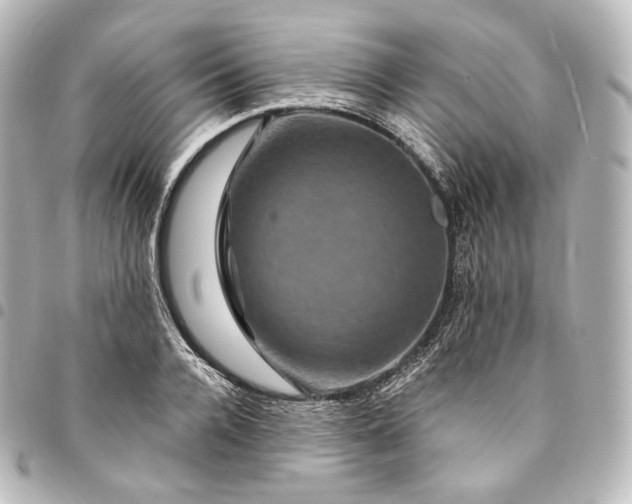 X0000095550936200712281603