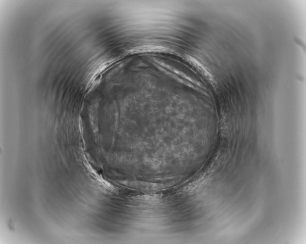 X0000095550937200712281603