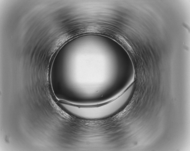 X0000095550938200712281603