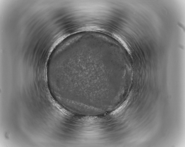 X0000095550939200712281603