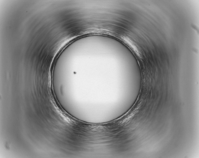 X0000095550940200712281603