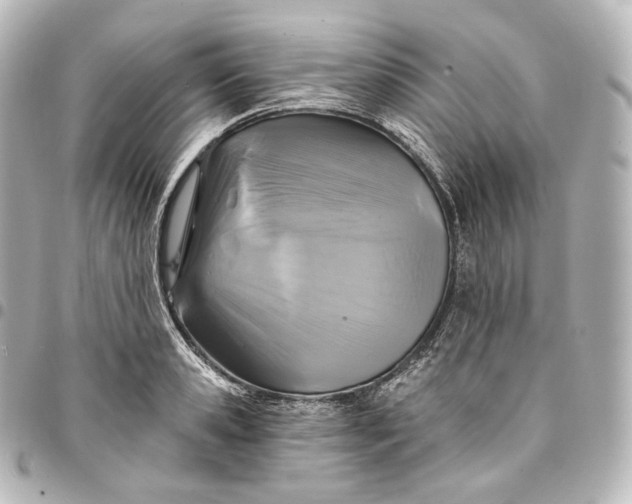 X0000095550941200712281603